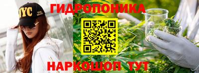 стаф Моздок