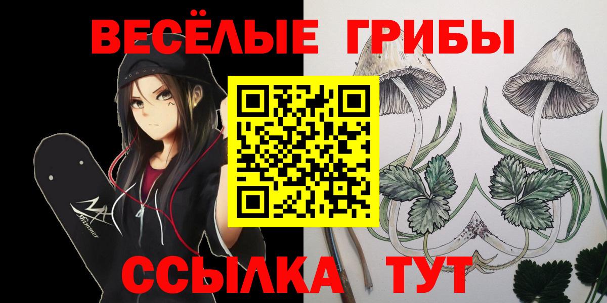 Псилоцибиновые грибы Magic Shrooms Элиста