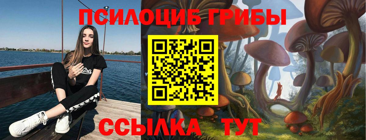 Псилоцибиновые грибы Psilocybe  Галлюциногенные грибы Psilocybine cubensis  где купить   Элиста  Вход с VPN 